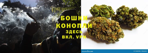 ешки Аркадак