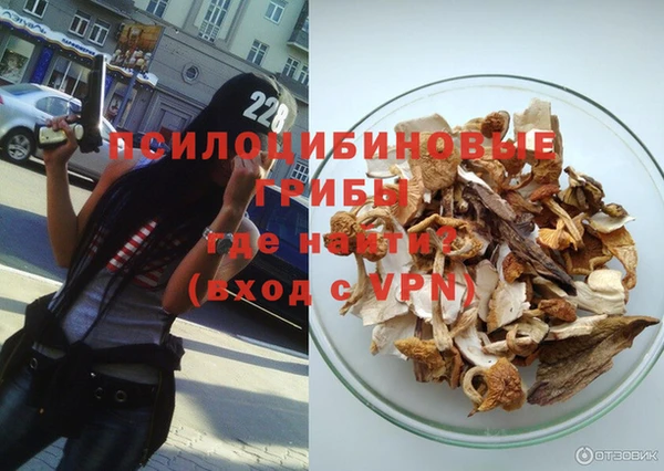 ешки Аркадак