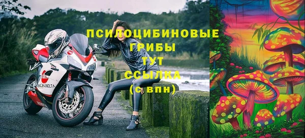 СК Армянск