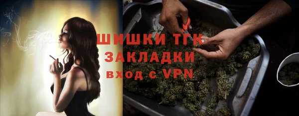 первитин Новодвинск