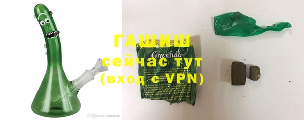 сатива Новокубанск