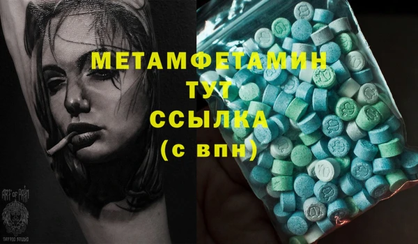 сатива Новокубанск