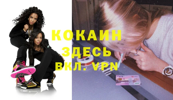 сатива Новокубанск